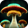 Magic Mushrooms Mini 2
